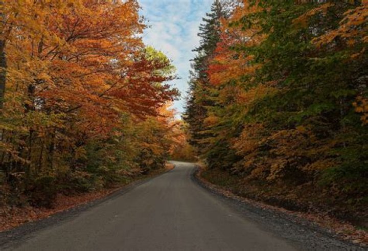 Why this small town is working to deter tourists' fall foliage photo ops